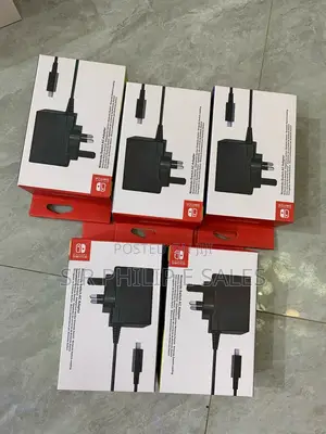 Nintendo Charger