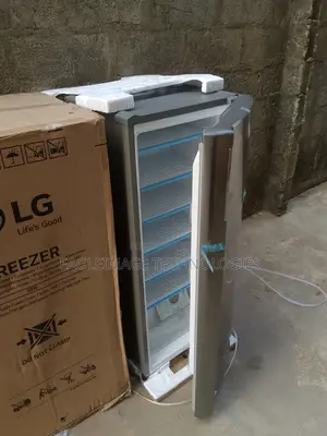 Lg Upright Standing Freezer 6 Step the Backup