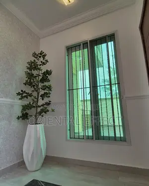 Straight Cedar Tree (210cm) With Big Okro Pot (White)