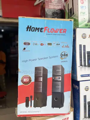 Home Flower Bodyguard Home Theater System