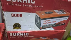 300w Lithium 12v for Inverters to Generate Electricity