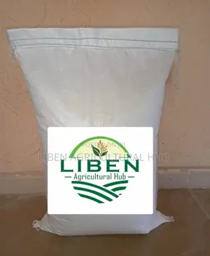 2 Kg of Yam Flour
