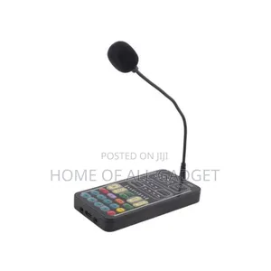 Voice Changer Device From Female to Male or Male to Female,