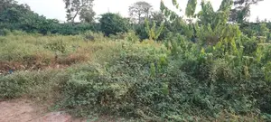 7000 Acres of Land for Sale in Ijebu Ode Ogun State