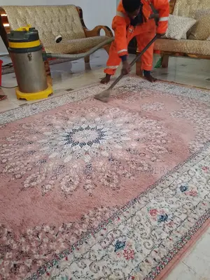 Professional Carpet Upholstery Cleaning