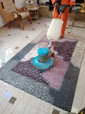 Prime and Professional Carpet Cleaning Service