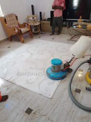 Premium Service Carpet Cleaning and Revamp