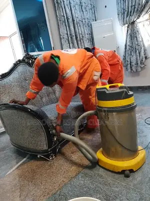 Exquisite Carpet and Chair Cleaning Service