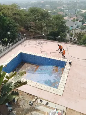 Professional Pool Cleaning Service