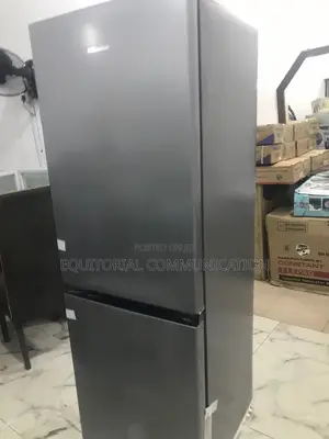 Hisense 225l Dependable Refrigerator 29dca Double Door