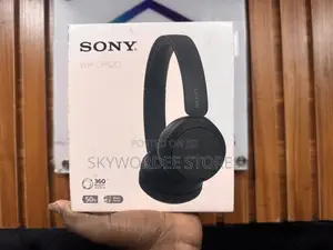 Sony Wh-Ch520 Headphone