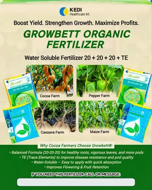 Water Solube Fertilizer