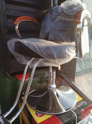 Salon Chair