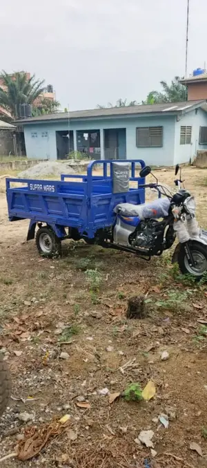 New Tricycle 2024 Blue