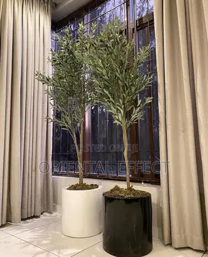 Artificial Olive Tree – 180cm in Low Cylindrical Pot