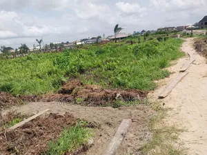 Over 500 Acres of Farmland Mologede Odeda Ogun State