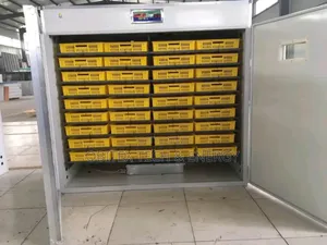Acdc Egg Incubator – 1056 Eggs Capacity