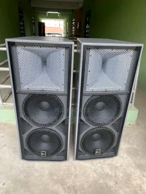 Ariz Sound Double Big Magnet SPK