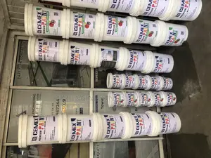 Paint Production Chemical Acrylic Wall And Ceiling