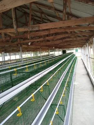Poultry Cage for Famers Layers Birds