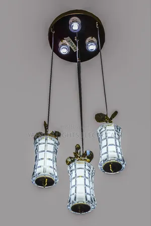 Dropping Ceiling Light