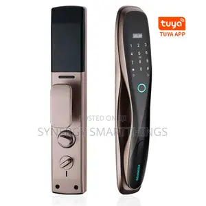 Tuya Smart Latest Intelligent Wi-Fi Door Lock With No Camera