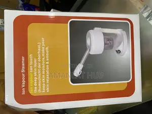 Face Steamer