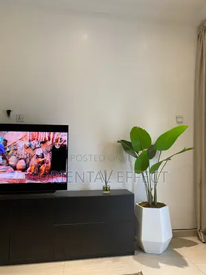 Turrim Pot With Banana Palm Plant 131cm