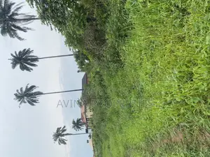 150 Plots of Farm Land at Eziobodo Owerri West