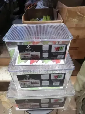 Threes in One Panty Organizer