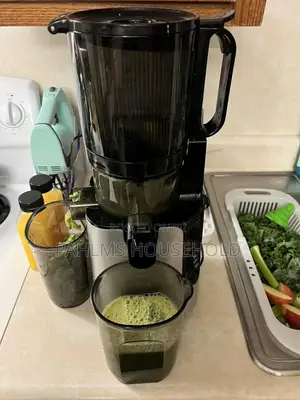 Avinas Juice Extractor