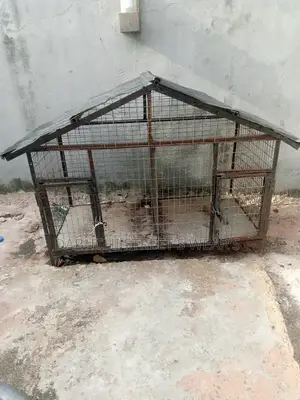 Strong Cage for Your Pet or Dogs Two Rooms