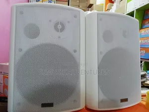 Ak Super 40 Watts Professional Ceiling Speakers