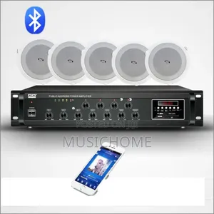 Bluetooth Ceiling Speaker With Amplifier