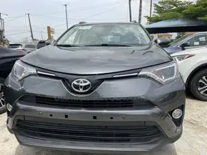 Toyota RAV4 XLE AWD (2.5L 4cyl 6A) 2016 Gray