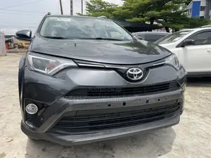 Toyota RAV4 XLE AWD (2.5L 4cyl 6A) 2016 Gray