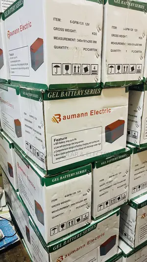 120ah 12v Baumann Deep Cycle Batteries Available in Stock