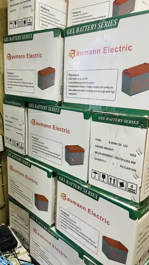 A Baumann Product of 120ah 12v Dry Cell Batteries