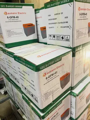 A Baumann Product of 40ah 12v Dry Cell Batteries