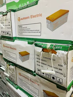 Baumann Product of 200ah 12v Dry Cell Batteries