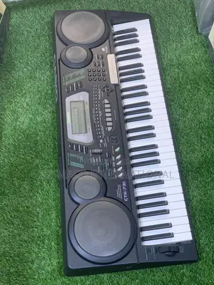 CTK 731 Durable Casio Keyboard