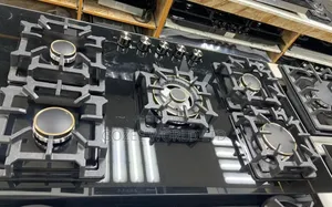 5 Burner Luxury Gas