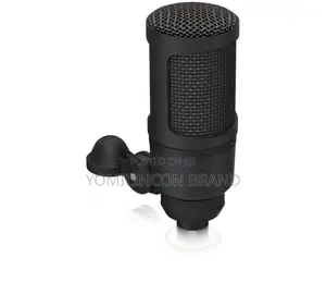 Behringer Bm1 Gold-Sputtered Low-Mass Diaphragm Microphone