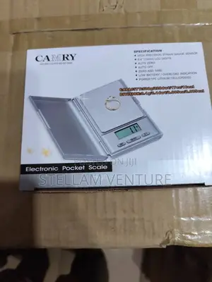 Electronic Pocket Scale