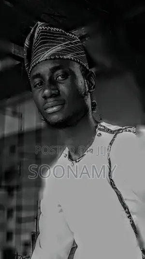 Mr Abiodun Adefenwa