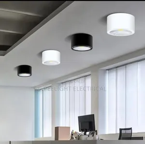 Surface Cob Ceiling Lights