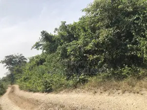 Alabata Village Agric Farmland in Ogun State, Nigeria