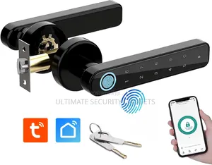 Tuya Smart Wi-Fi Intelligent Mini Handle Door Lock