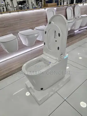 Luxury Smart Toilets