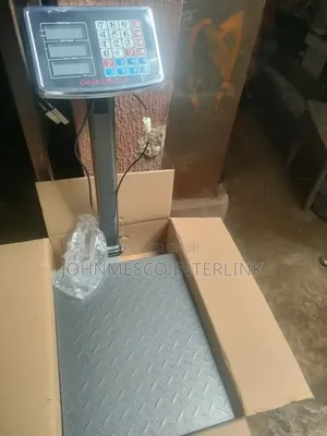 300kg Digital Standing Scale